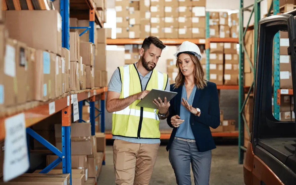 Logistics and the Distribution Network in Parallel Export
